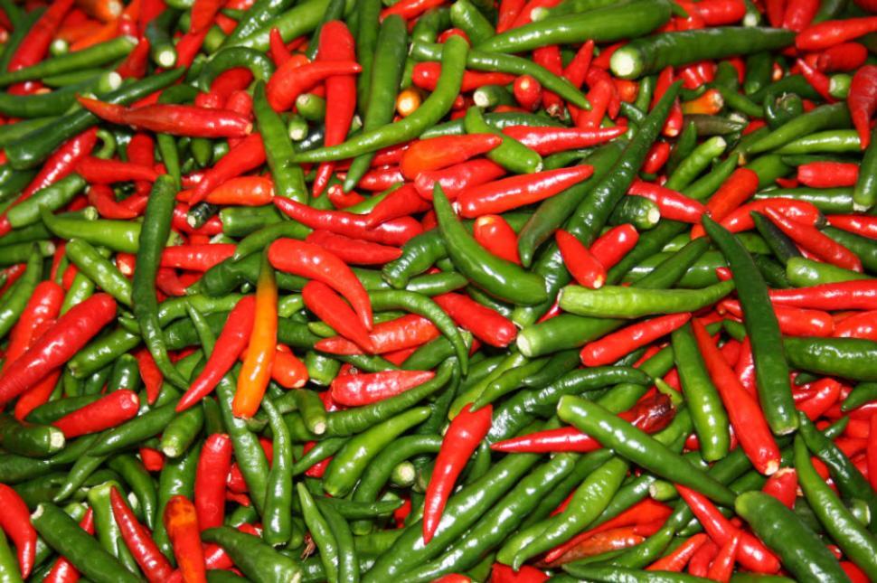 Free Image of Vegetables and spices 