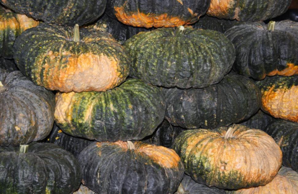 Free Image of Vegetables and spices 