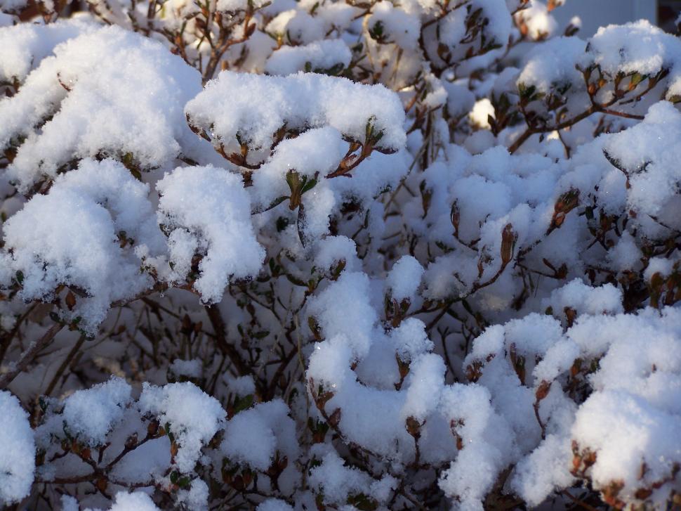 Free Image of Snow 