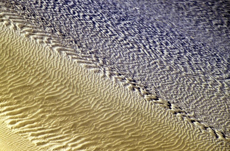 Free Image of Ripples in the beach sand 