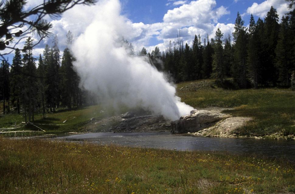 Free Image of stream by the stream 