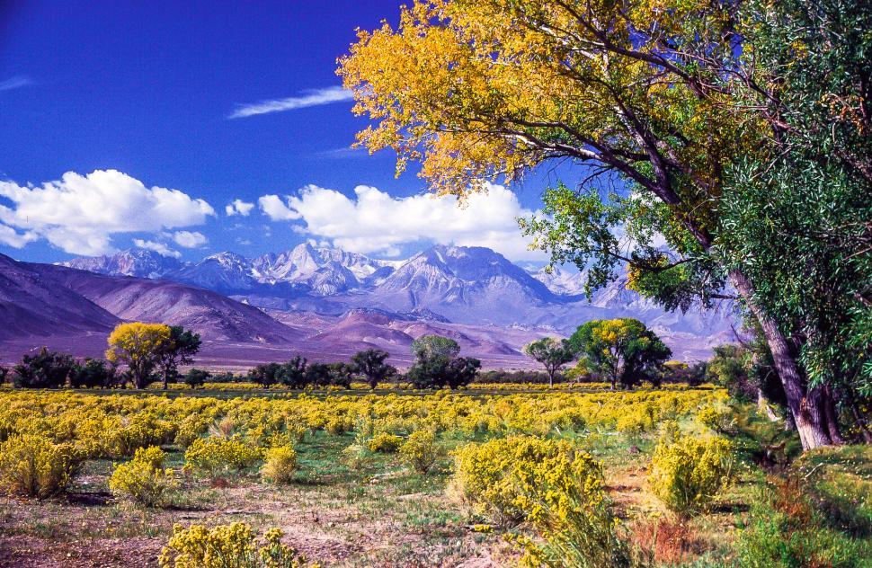 Free Image of Inyo National Forest 
