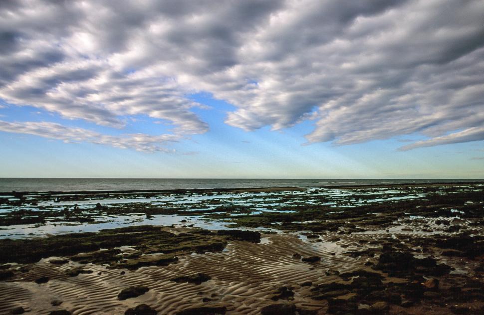 Free Image of Puerto Penasco Beach, Mexico 