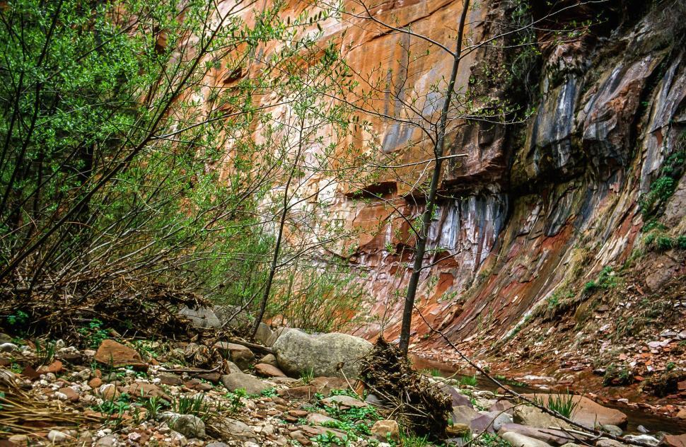 Free Image of Oak Creek Canyon 
