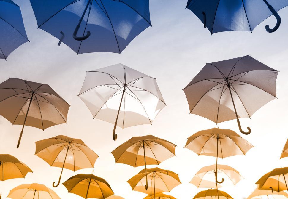 Free Image of Colorful Umbrellas Hanging in the Air 