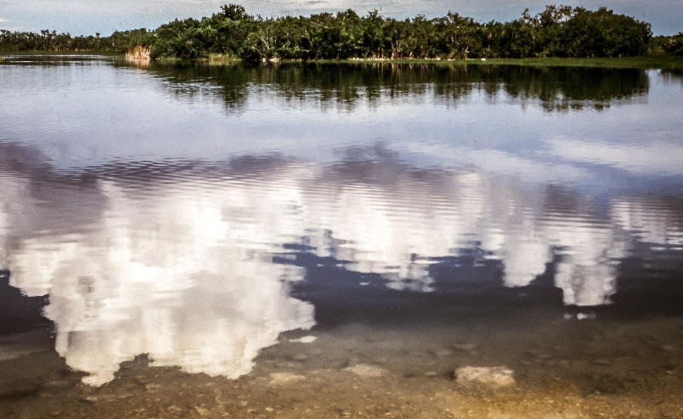 Free Image of Nine Mile Pond 