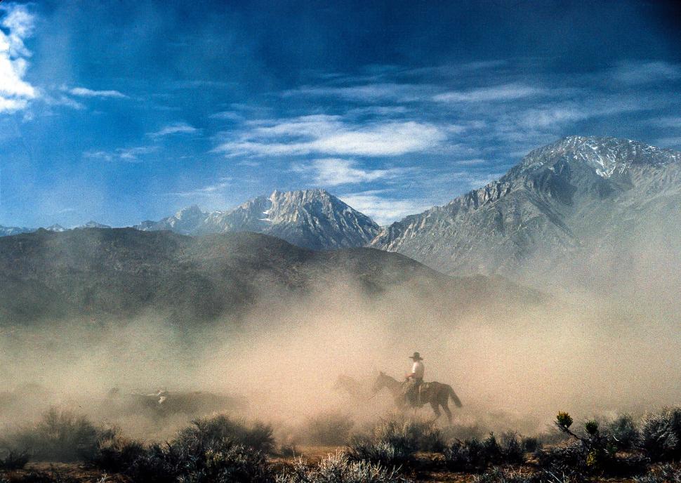 Free Image of Cowboy riding horse in a dusty arena 