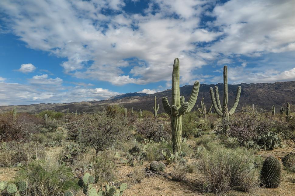 Free Image of Wide desert landscape 