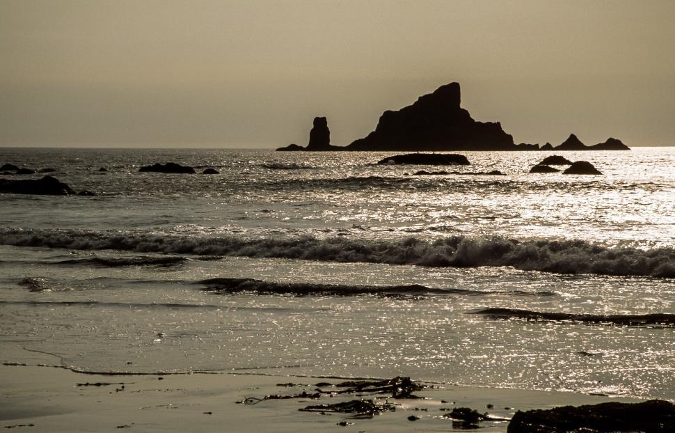 Free Image of Ruby Beach 