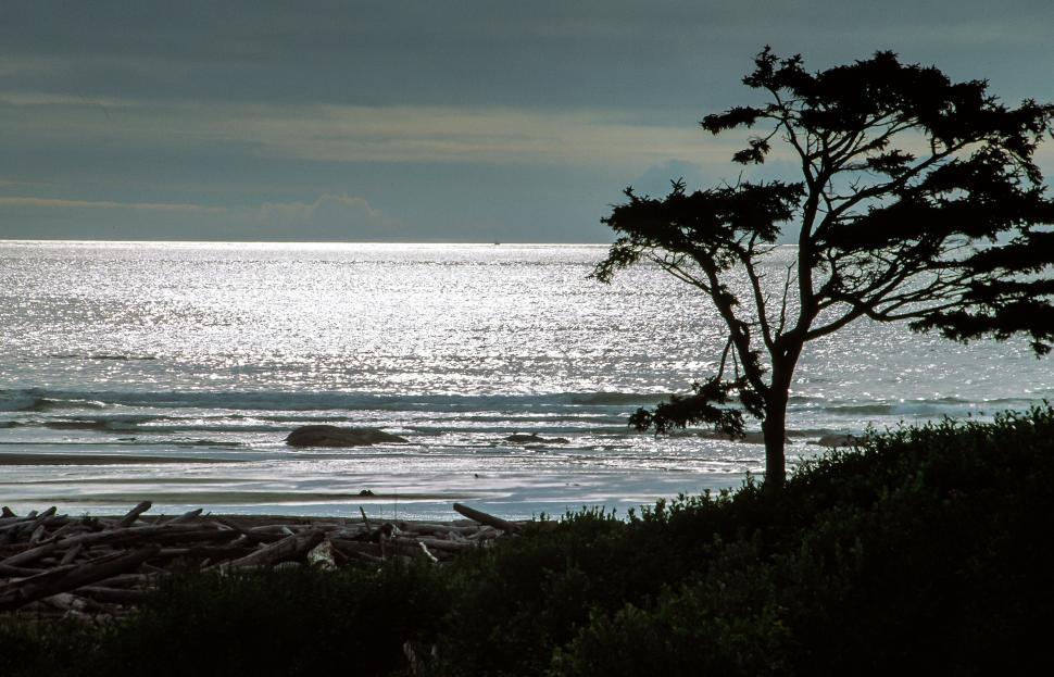 Free Image of Sun Reflection 