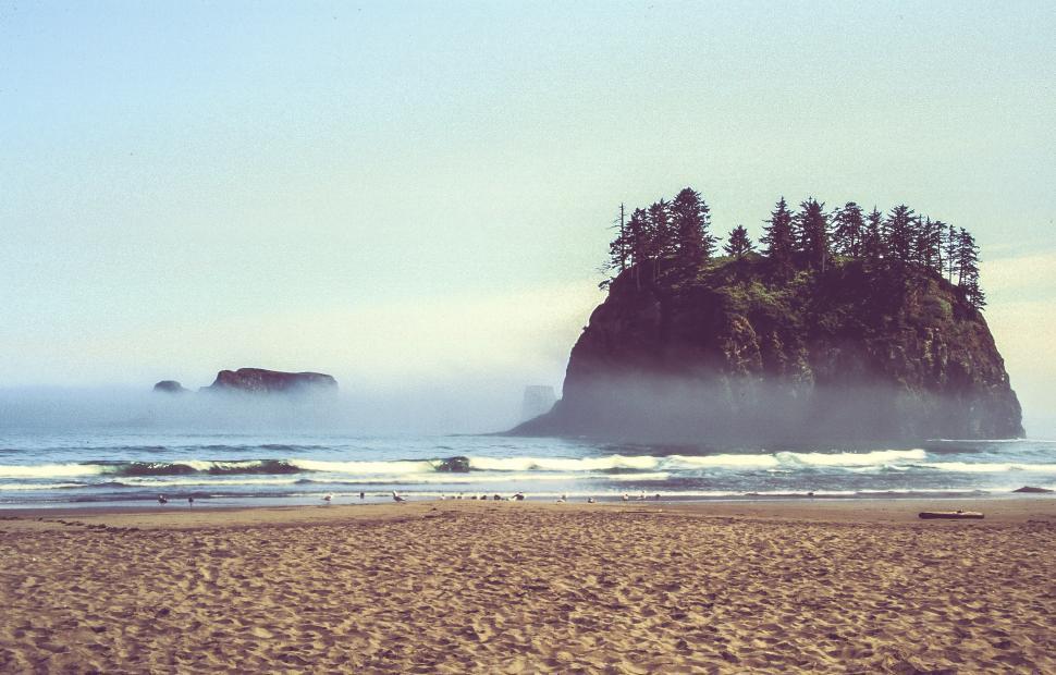 Free Image of Kalaloch Beach 