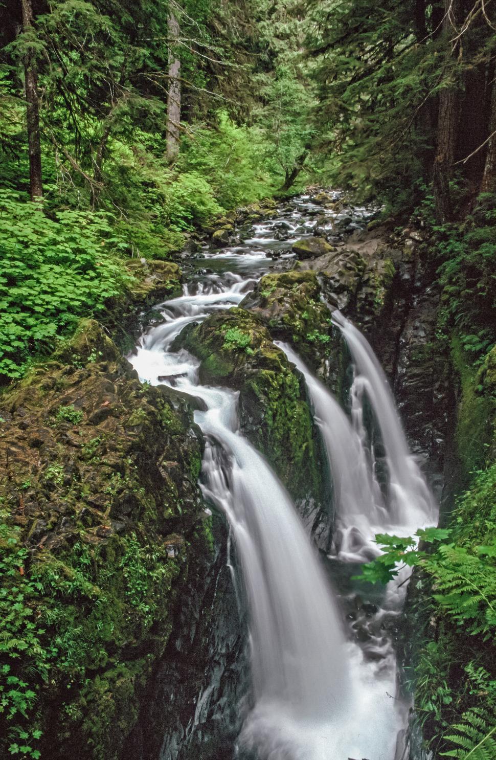 Free Image of Water flowing down Sol Duc Falls 
