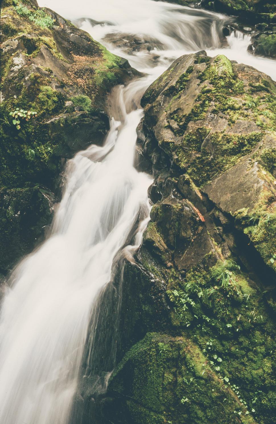 Free Image of Detail at Sol Duc Falls 