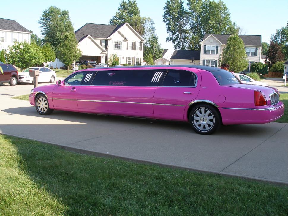 Free Image of Pretty 'n Pink  