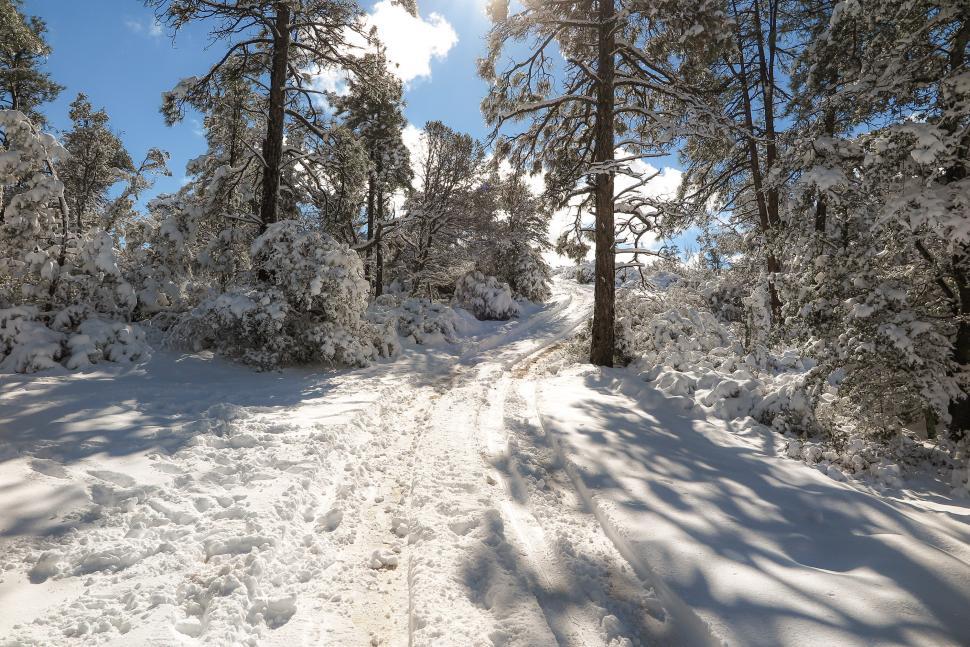 Free Image of One lane road covered in snow 