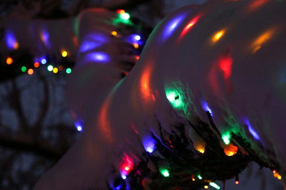Free Image of Lights under the snow 