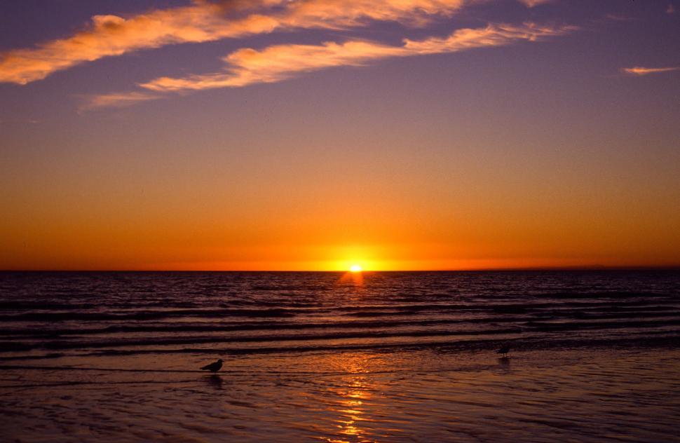 Free Image of Rocky Point Beach in Sonora, Mexico 