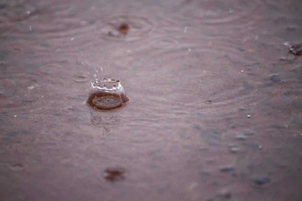 Free Image of Rain drops on water puddle 