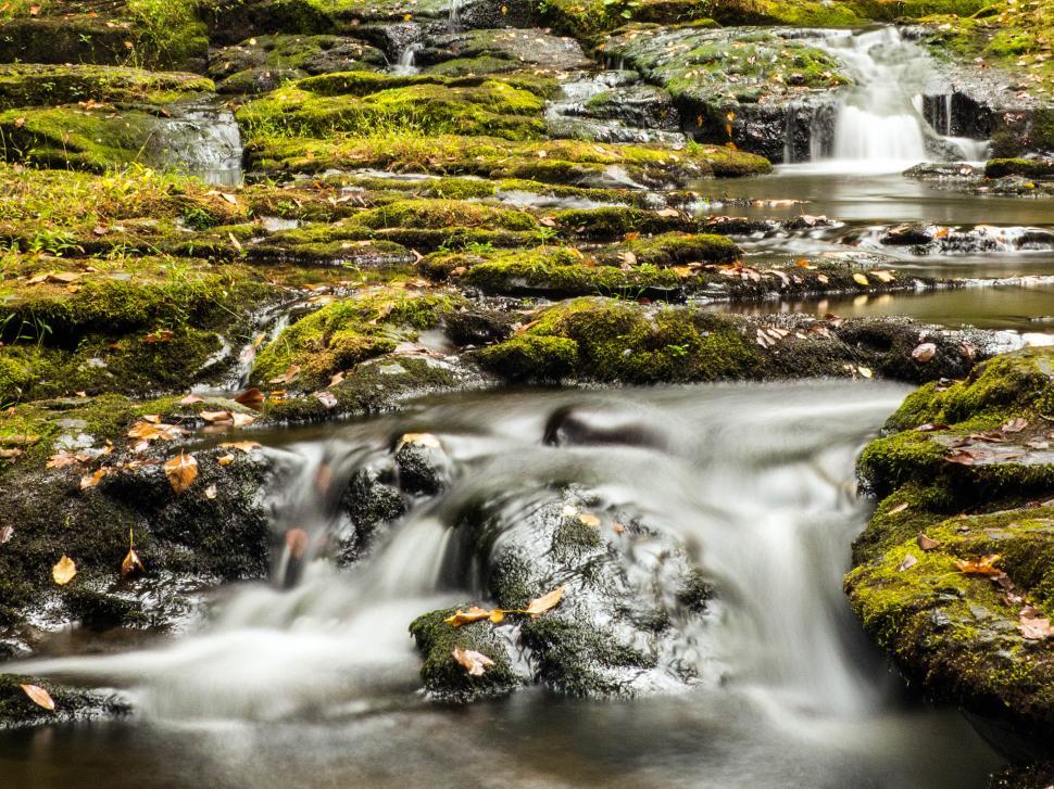 Free Image of Mossy Rocks and Small Waterfall Cascades 