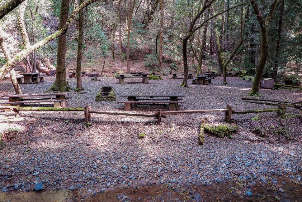 Free Image of Picnic area in the forest 