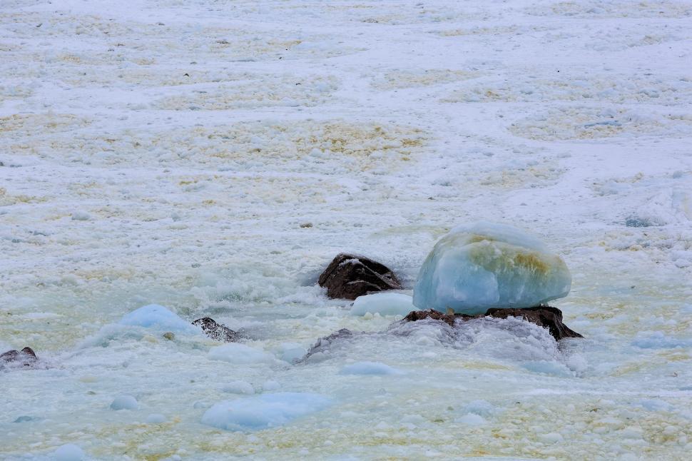 Free Image of Ocean Ice 