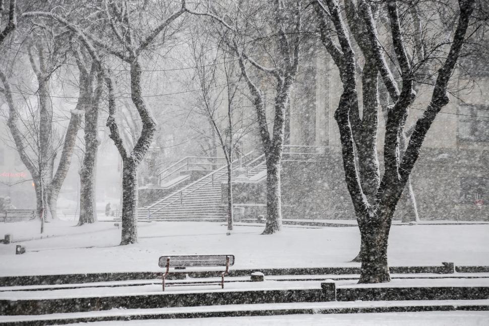 Free Image of Snow in the square 