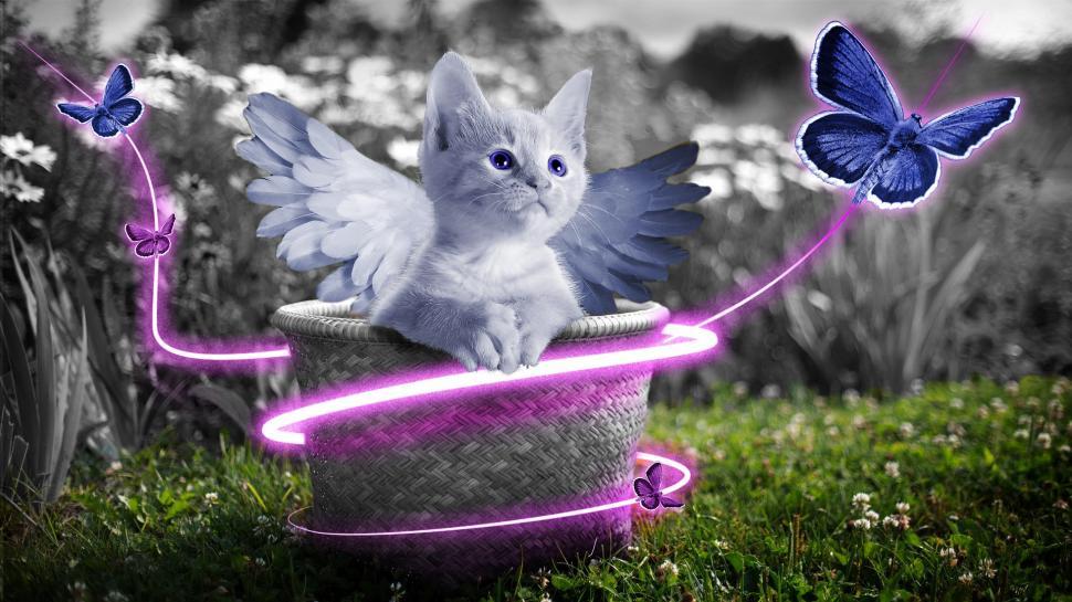 Free Image of Cat Sitting on Basket With Butterfly 