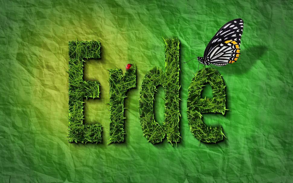 Free Image of Grass With Butterfly Perched 