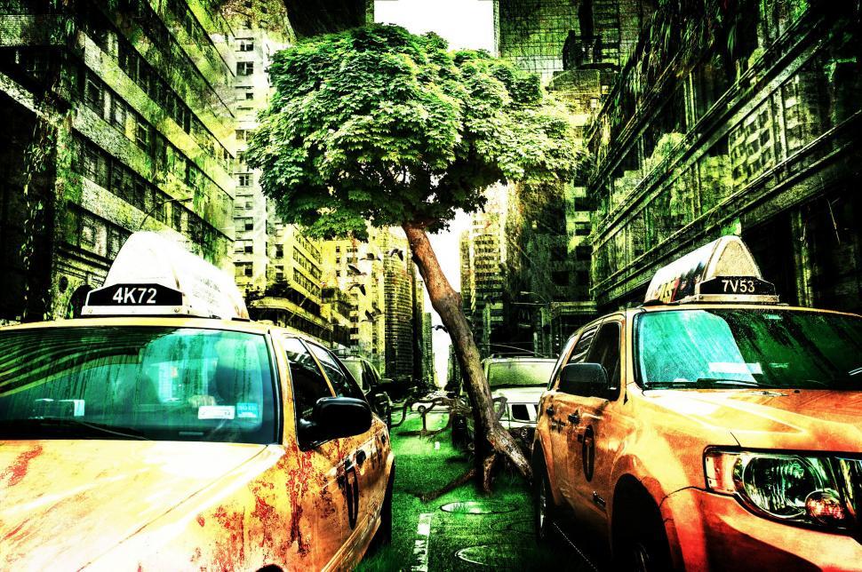 Free Image of Two Taxi Cabs Parked Next to Each Other 