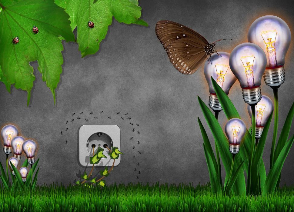 Free Image of Group of Light Bulbs on Lush Green Field 