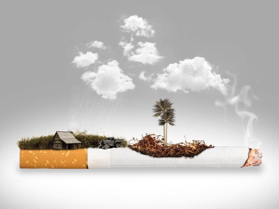 Free Image of Cigarette With a House 
