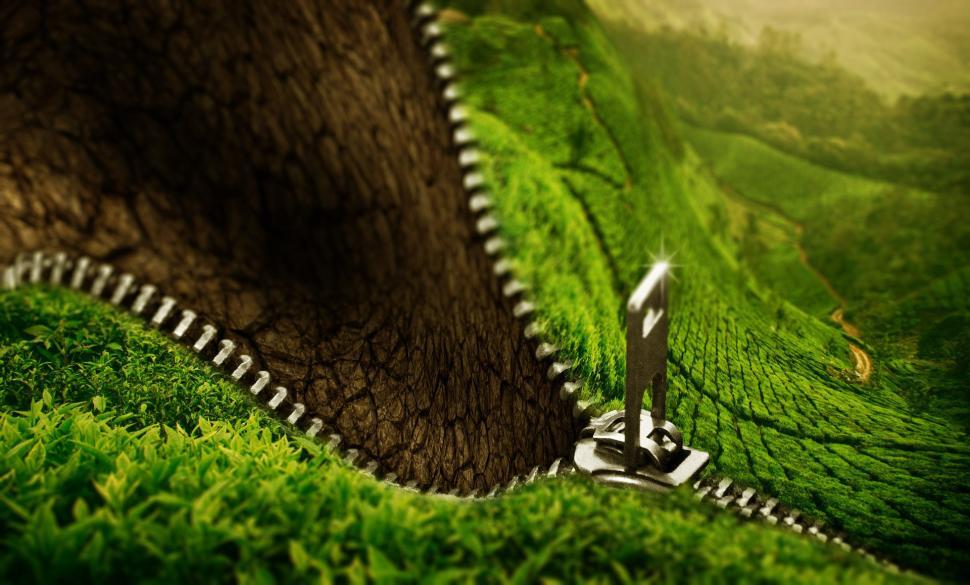 Free Image of Tree With Scissors 