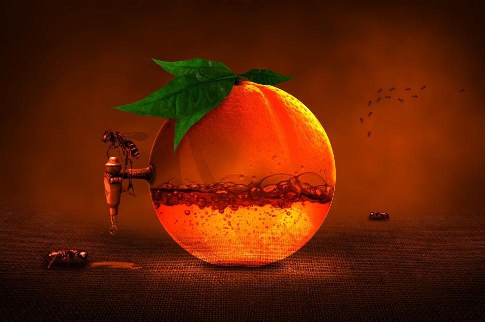 Free Image of Orange With Green Leaf 