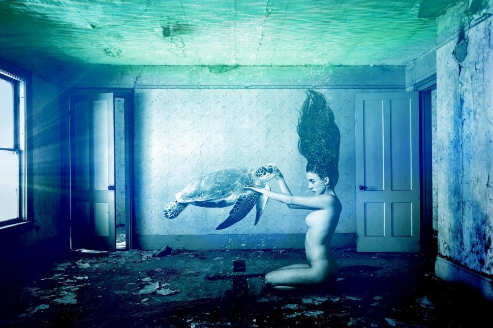 Free Image of Woman Holding Turtle in Room 