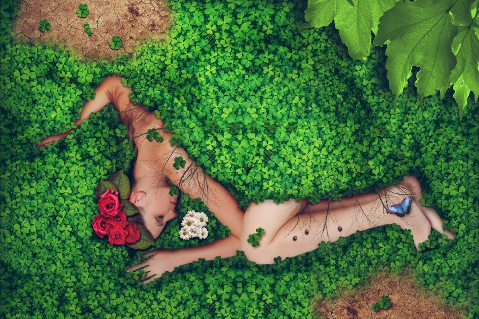 Free Image of Covered in clover 