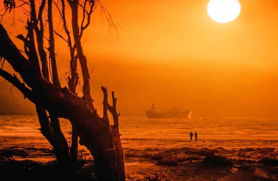 Free Image of Sun during sunset 