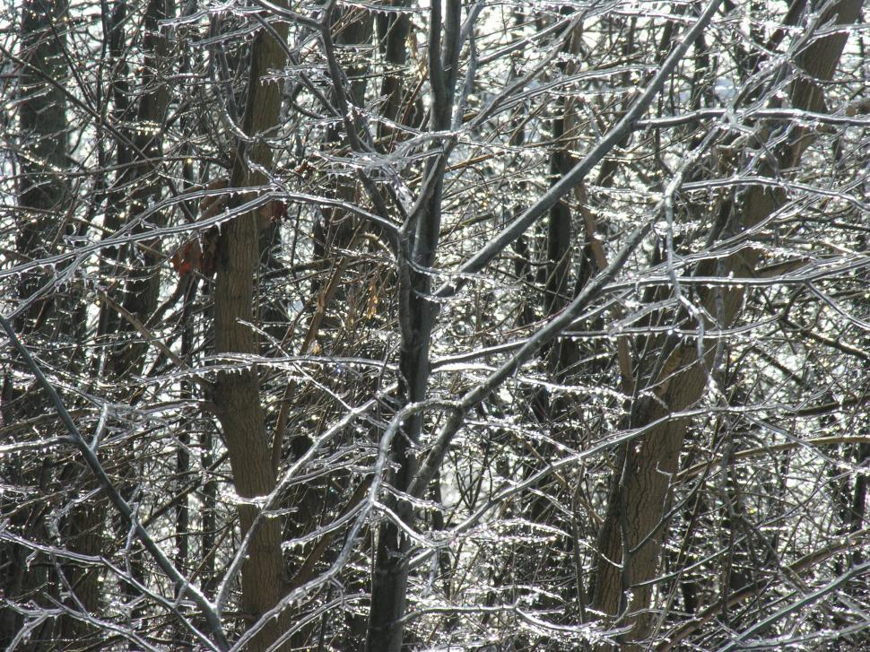 Free Image of Winter Ice Storm 
