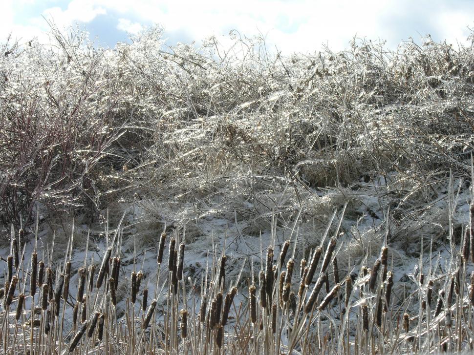 Free Image of Winter Ice Storm 
