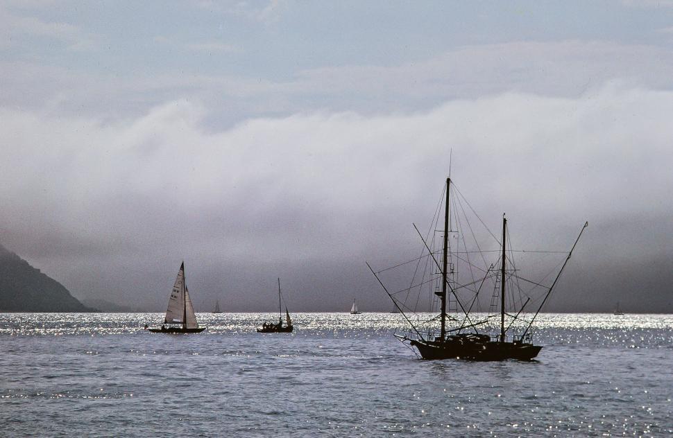 Free Image of Sailing boats 