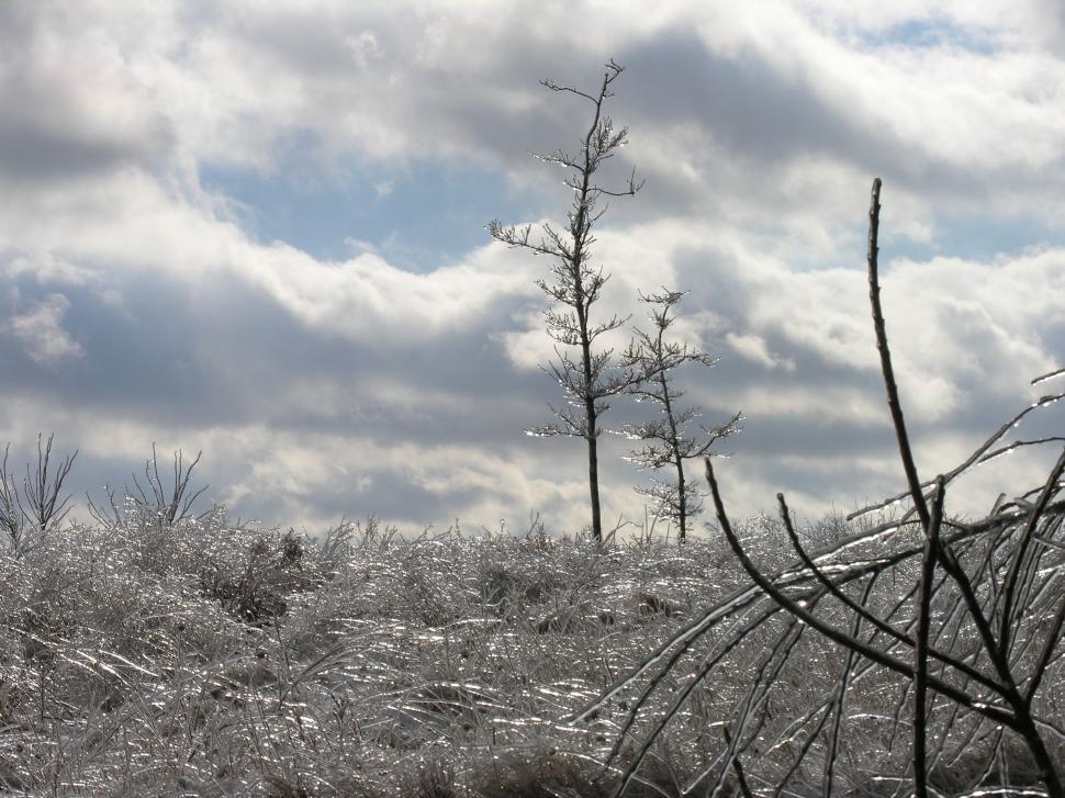 Free Image of Ice Storm 