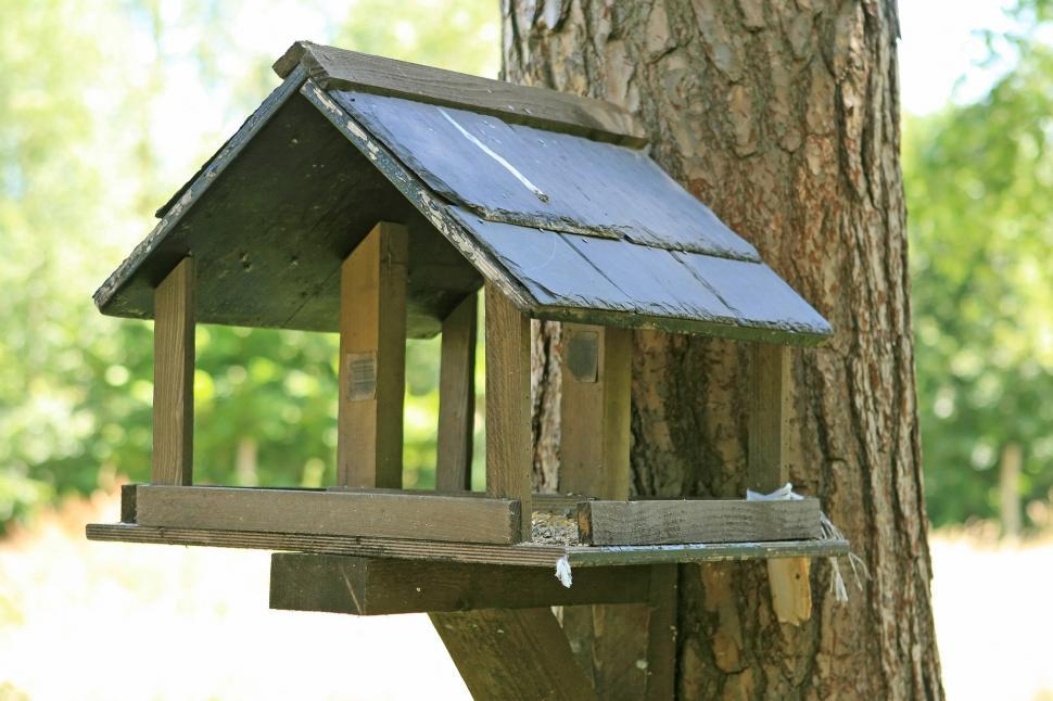 Free Image of Bird House Attached to Tree in Park 