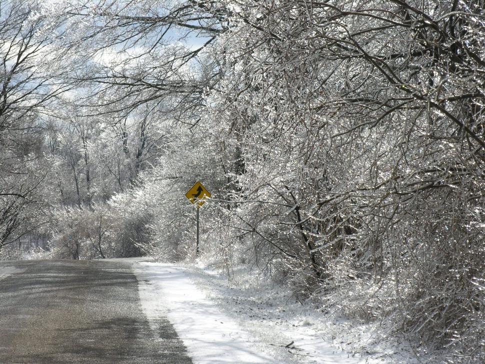 Free Image of Frozen Winter Wonderland 