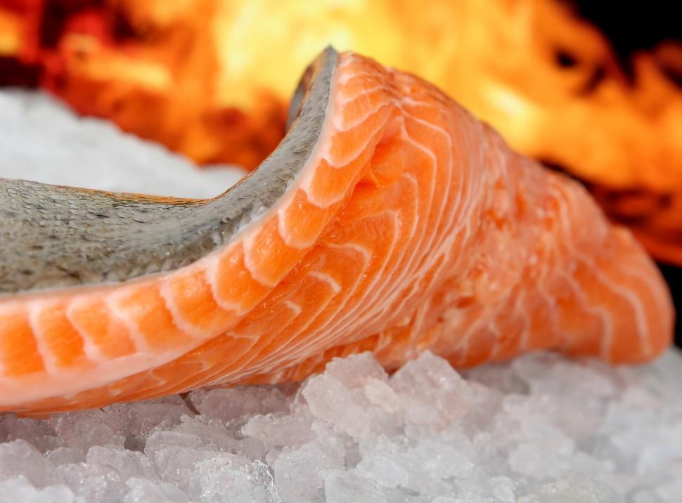 Free Image of Close Up of Fresh Fish on Ice 