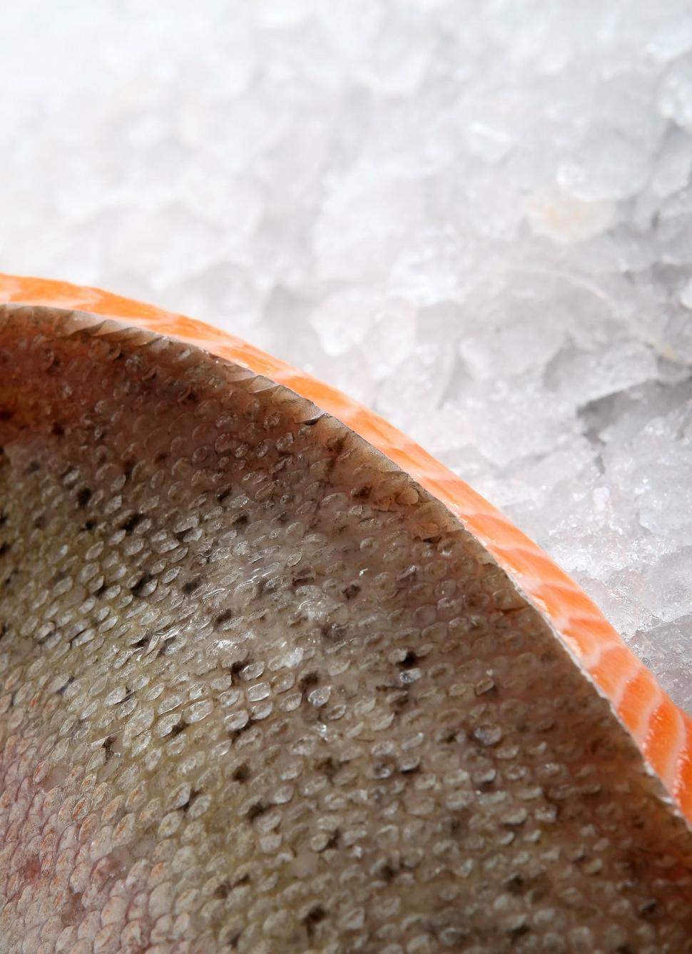 Free Image of Close Up of a Bowl on a Table 