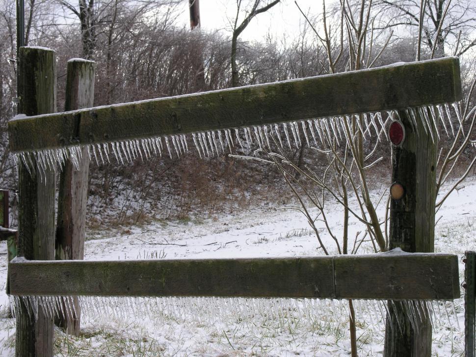 Free Image of Cold Winter Ice Storm 