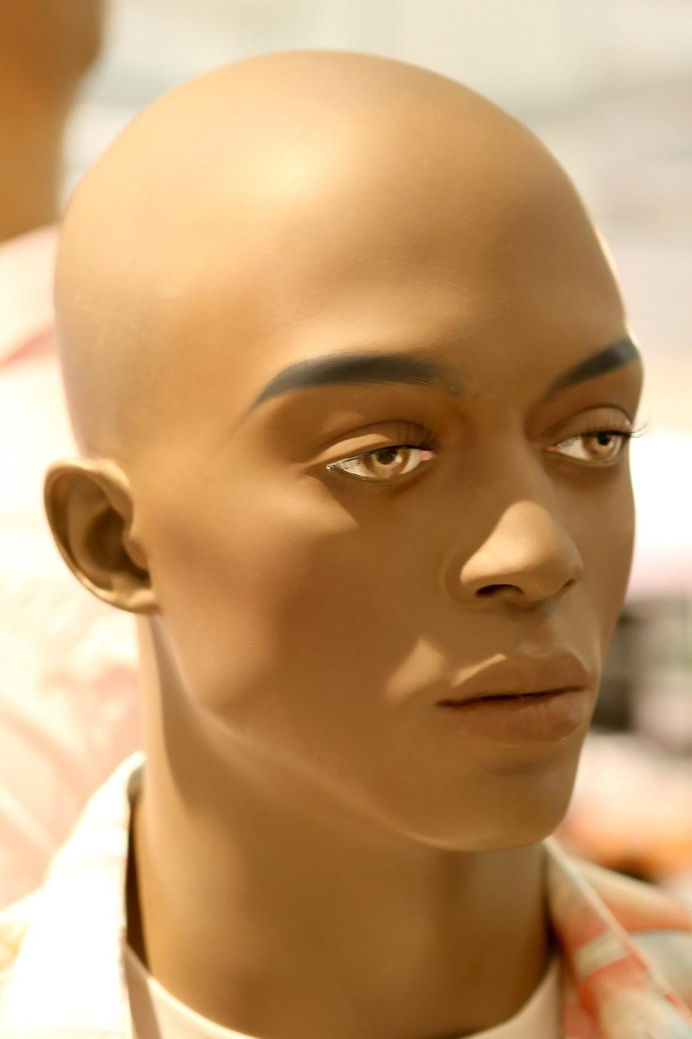 Free Image of Mannequins Head Wearing Shirt and Tie 