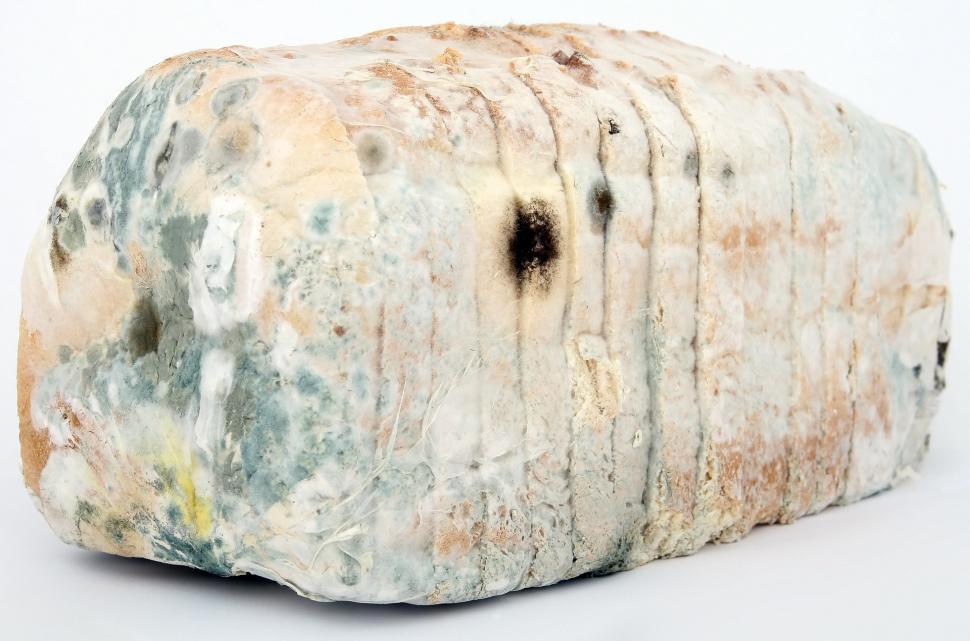 Free Image of A Piece of Rock on White Surface 