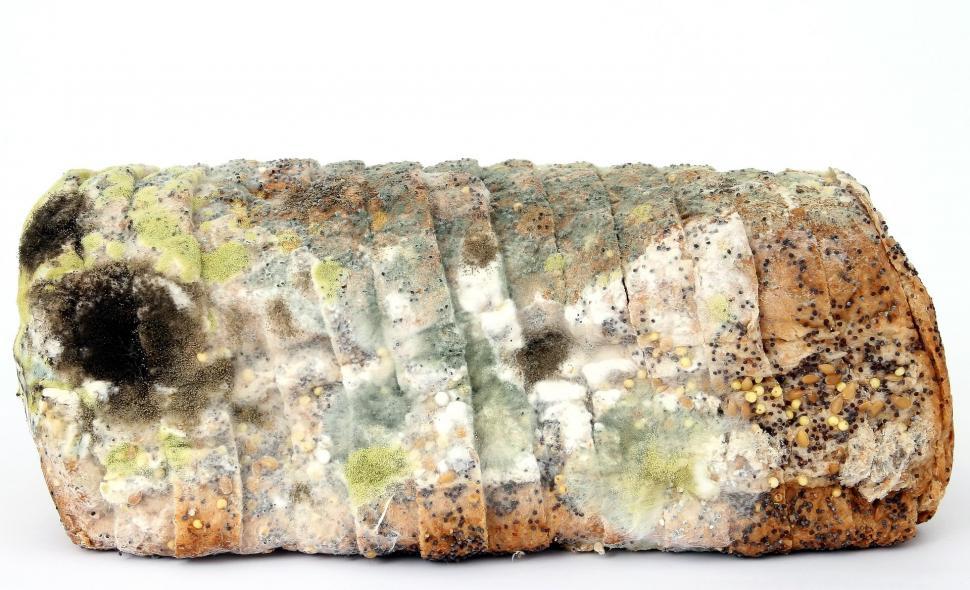 Free Image of Half of a Bread Slice 