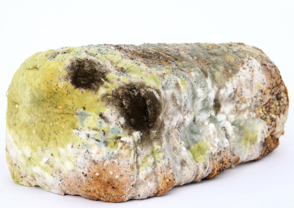 Free Image of Moss-Covered Rock With Dirt 