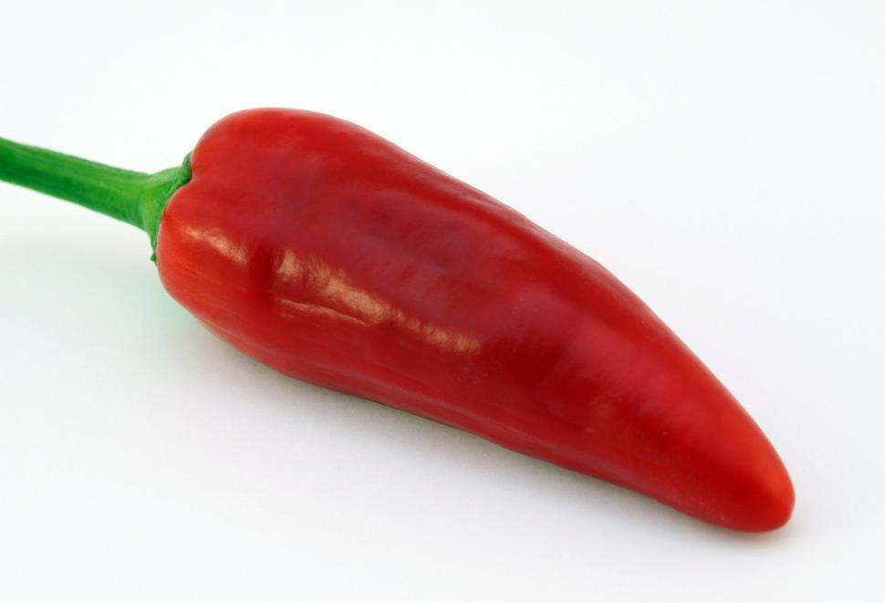 Free Image of Red Pepper on Green Stem on White Background 